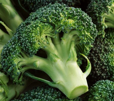 Metode de cultivare la broccoli